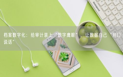 档案数字化：给审计装上“数字鹰眼”，让数据自己“开口说话”