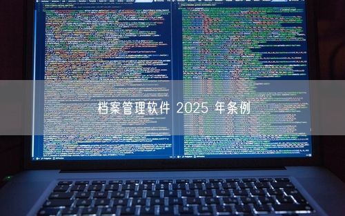 档案管理软件 2025 年条例