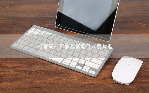 档案软件声像档案软件收费标准