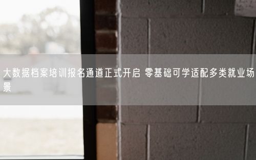 大数据档案培训报名通道正式开启 零基础可学适配多类就业场景