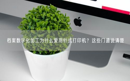档案数字化加工为什么爱用针式打印机？这些门道说清楚