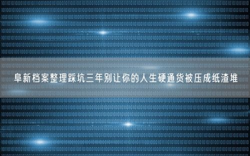 阜新档案整理踩坑三年别让你的人生硬通货被压成纸渣堆