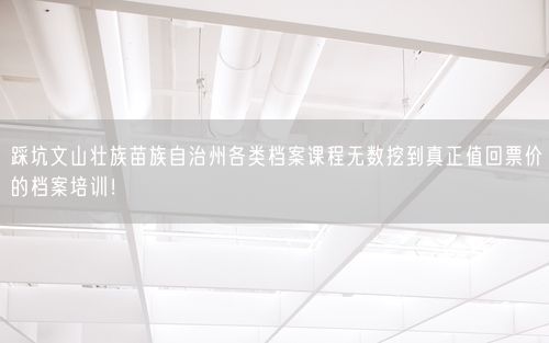 踩坑文山壮族苗族自治州各类档案课程无数挖到真正值回票价的档案培训！