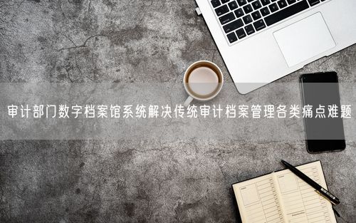 审计部门数字档案馆系统解决传统审计档案管理各类痛点难题