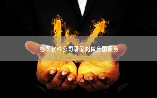 档案软件公司哪家能做全国服务
