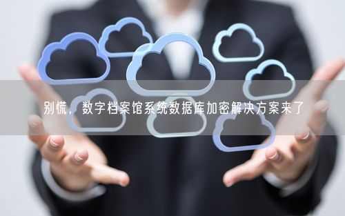 别慌，数字档案馆系统数据库加密解决方案来了