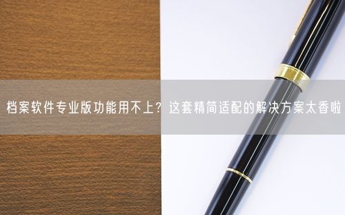 档案软件专业版功能用不上？这套精简适配的解决方案太香啦