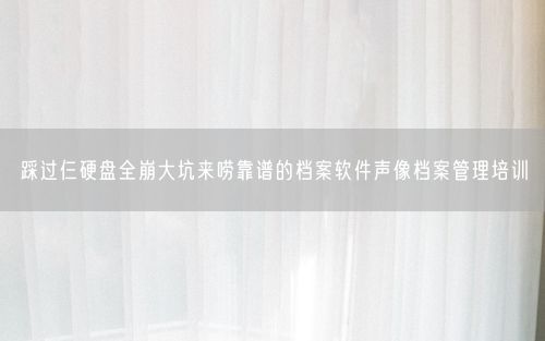 踩过仨硬盘全崩大坑来唠靠谱的档案软件声像档案管理培训