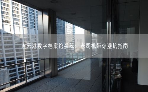 连云港数字档案馆系统：老司机带你避坑指南