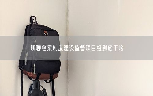 聊聊档案制度建设监督项目组到底干啥