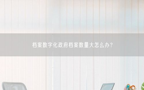 档案数字化政府档案数量大怎么办？