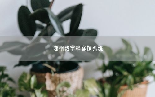 湖州数字档案馆系统