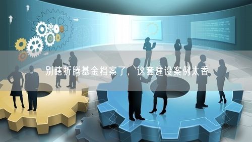 别瞎折腾基金档案了，这套建设案例太香