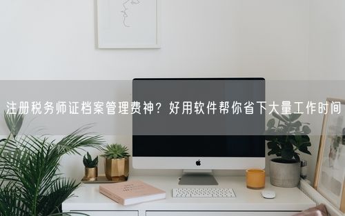 注册税务师证档案管理费神？好用软件帮你省下大量工作时间