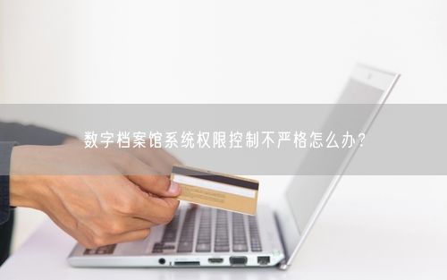 数字档案馆系统权限控制不严格怎么办？