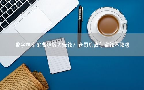 数字档案馆高级版太烧钱？老司机教你省钱不降级