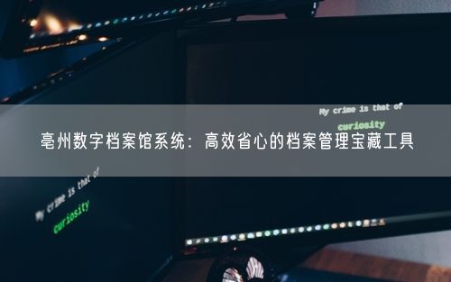 亳州数字档案馆系统：高效省心的档案管理宝藏工具