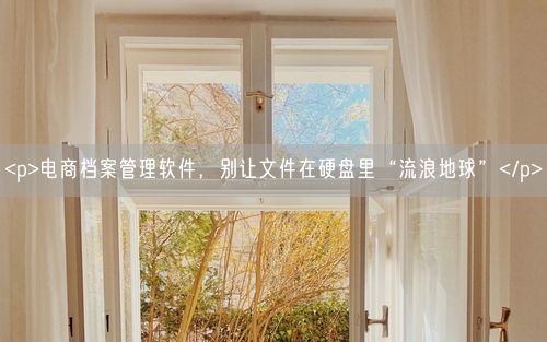 <p>电商档案管理软件，别让文件在硬盘里“流浪地球”</p>