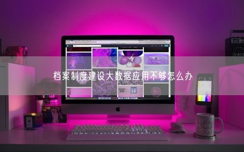 档案制度建设大数据应用不够怎么办