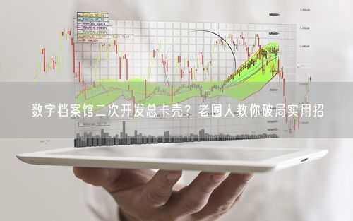 数字档案馆二次开发总卡壳？老圈人教你破局实用招