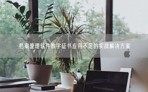 档案管理软件数字证书应用不足的实战解决方案