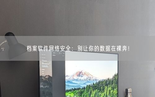 档案软件网络安全：别让你的数据在裸奔！