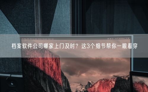 档案软件公司哪家上门及时？这3个细节帮你一眼看穿