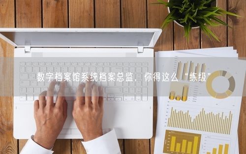 数字档案馆系统档案总监，你得这么“练级”