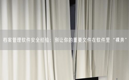 档案管理软件安全经验：别让你的重要文件在软件里“裸奔”