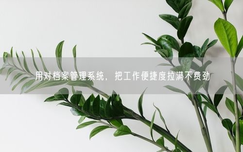 用对档案管理系统，把工作便捷度拉满不费劲