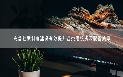 完善档案制度建设有效提升各类组织资源配置效率