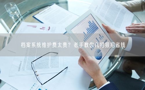 档案系统维护费太贵？老手教你几招狠招省钱