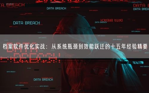 档案软件优化实战：从系统瓶颈到效能跃迁的十五年经验精要