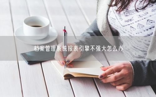 档案管理系统报表引擎不强大怎么办
