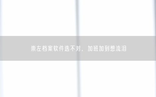 崇左档案软件选不对，加班加到想流泪
