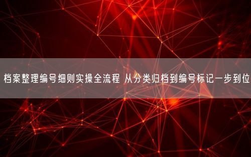 档案整理编号细则实操全流程 从分类归档到编号标记一步到位