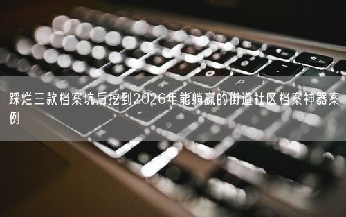 踩烂三款档案坑后挖到2026年能躺赢的街道社区档案神器案例
