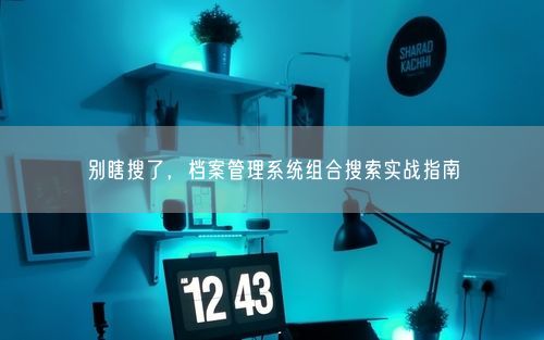 别瞎搜了，档案管理系统组合搜索实战指南