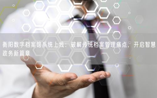 衡阳数字档案馆系统上线：破解传统档案管理痛点，开启智慧政务新篇章