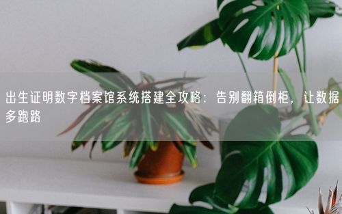 出生证明数字档案馆系统搭建全攻略：告别翻箱倒柜，让数据多跑路