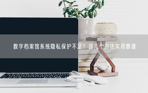 数字档案馆系统隐私保护不足？这几个方法实用靠谱