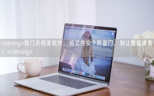 <strong>铁门关档案软件：给文件安个防盗门，别让数据裸奔！</strong>