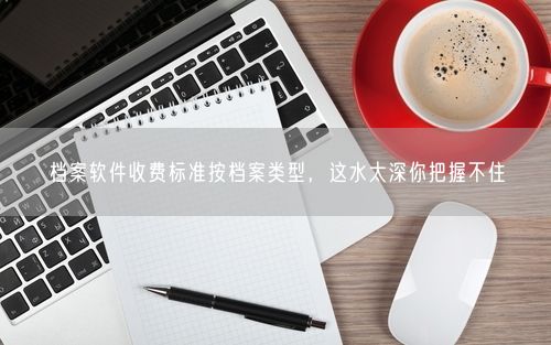 档案软件收费标准按档案类型，这水太深你把握不住