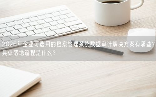 2026年企业可选用的档案管理系统数据审计解决方案有哪些？具体落地流程是什么？