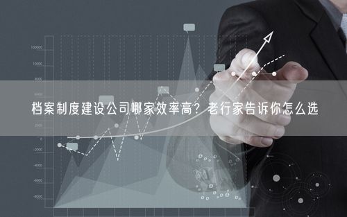 档案制度建设公司哪家效率高？老行家告诉你怎么选