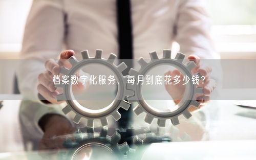 档案数字化服务,每月到底花多少钱?