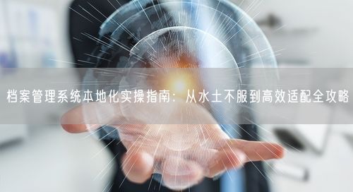 档案管理系统本地化实操指南：从水土不服到高效适配全攻略