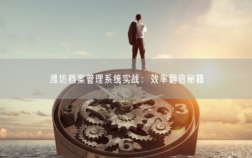潍坊档案管理系统实战：效率翻倍秘籍