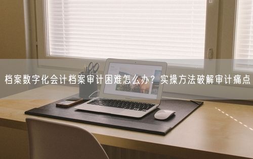 档案数字化会计档案审计困难怎么办？实操方法破解审计痛点