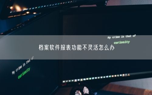 档案软件报表功能不灵活怎么办